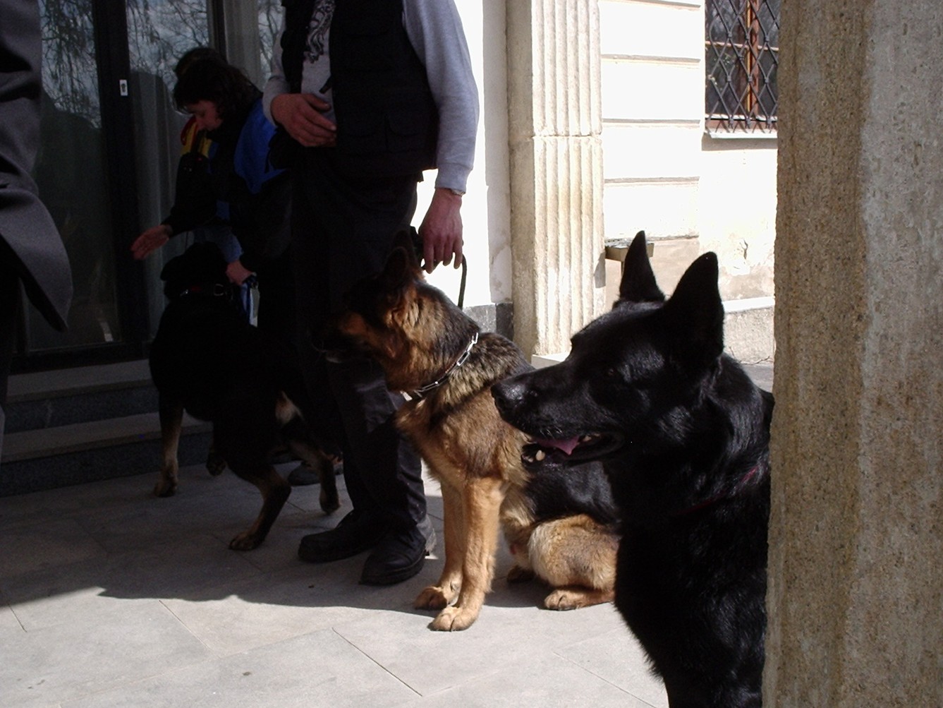 P1010042.JPG