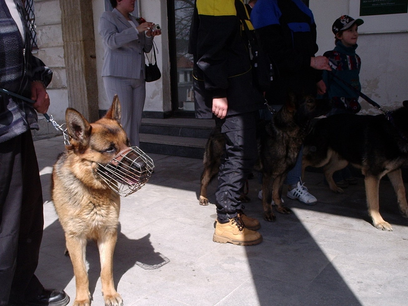 P1010046.JPG